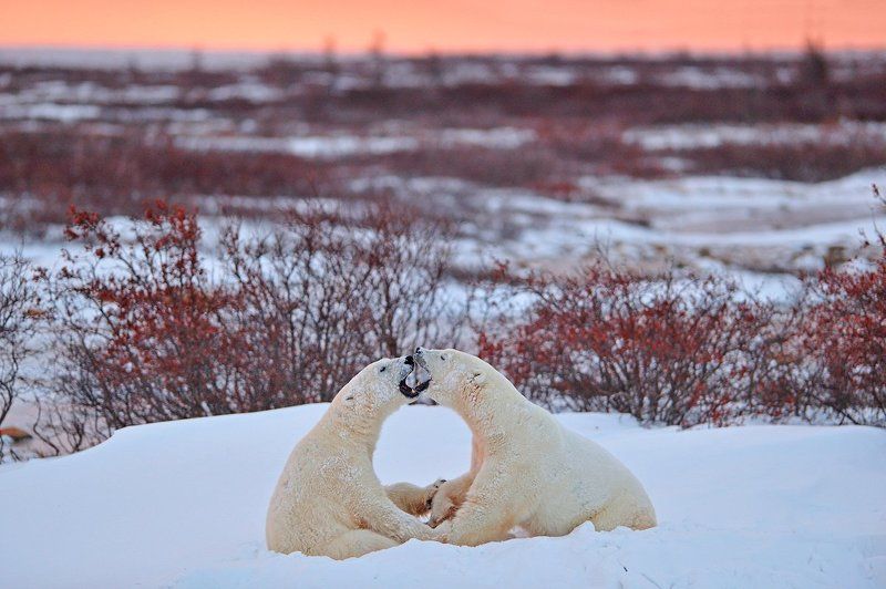 Признание в любвиphoto preview