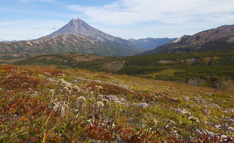 камчатка, вилючинский вулкан,осень,тундра Камчатское осеннее великолепиеphoto preview