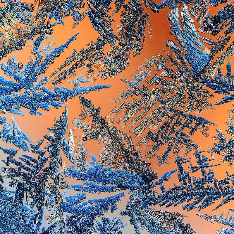 Маленькой ёлочке холодно зимойphoto preview