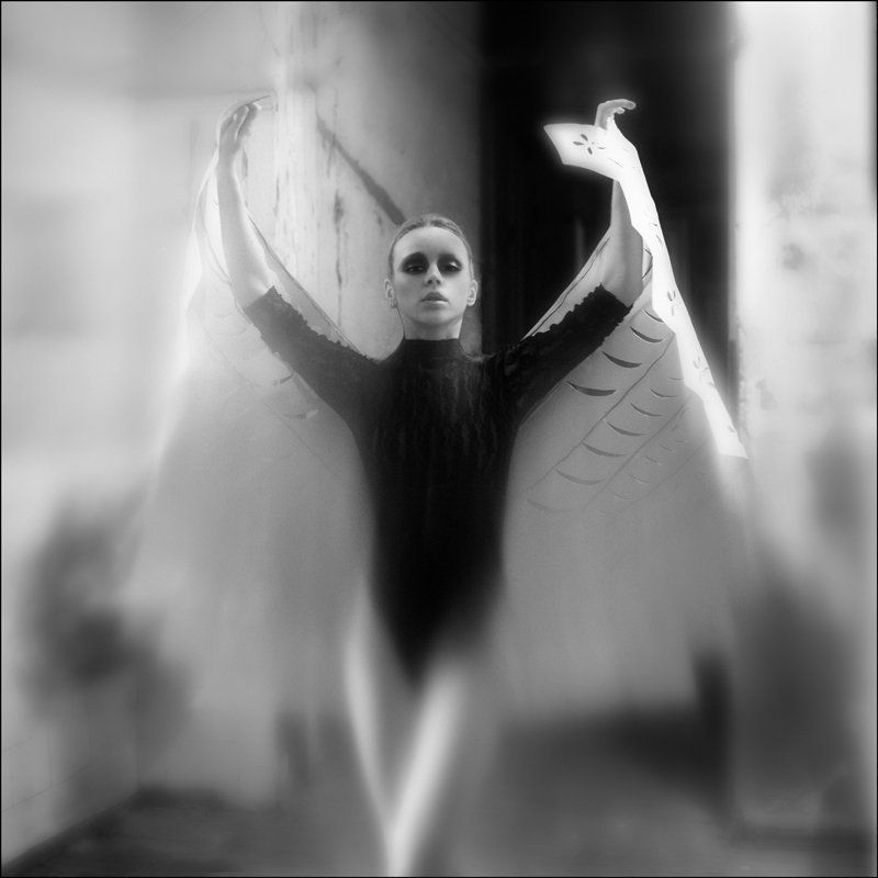 6x6,portrait ***photo preview