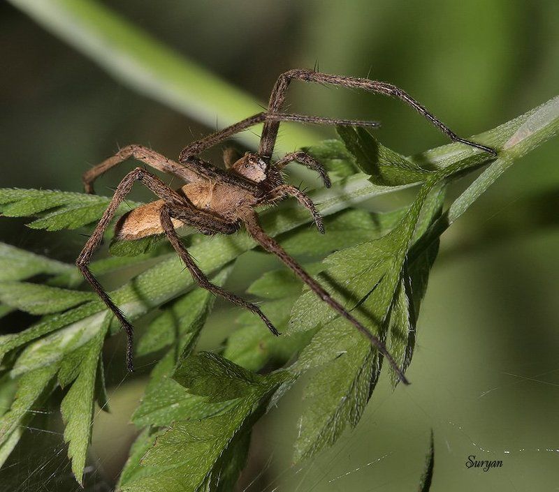 — Ну-ка потрогай. Есть у меня температура? фото превью