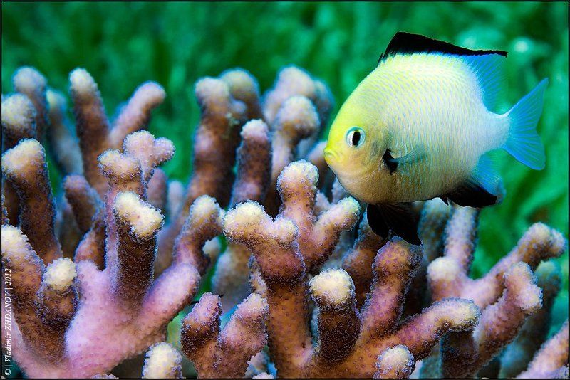 Модницаphoto preview