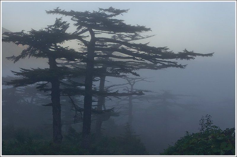 Утро на вулкане Баранскогоphoto preview