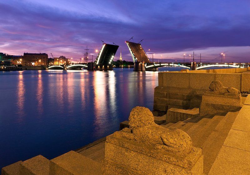 белые ночи, биржевой мост, львы, нева, петропавловская крепость, питер, разведение мостов, рассвет, санкт-петербург Санкт-Петербург: Биржевой мостphoto preview