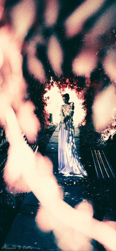 Galeriephoto preview