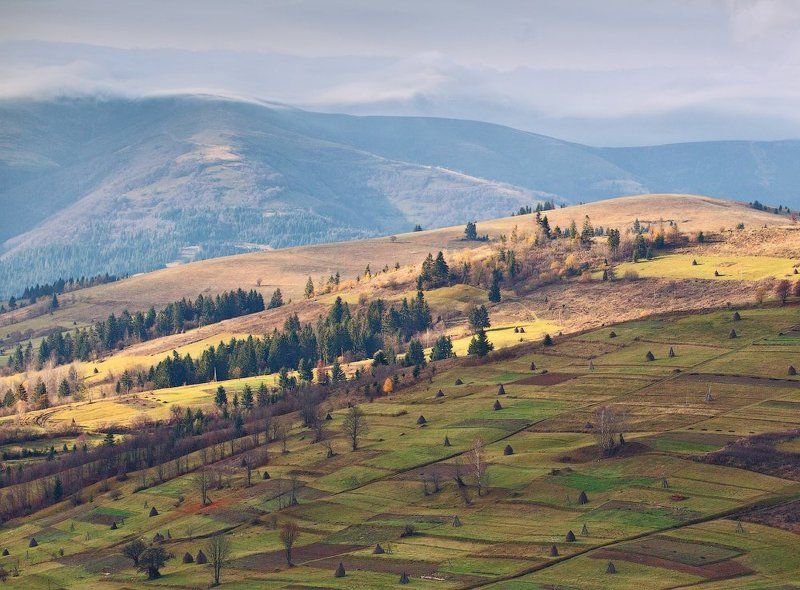 карпаты, осень, утро, свет, холмы ...Карпатское спокойствие... фото превью