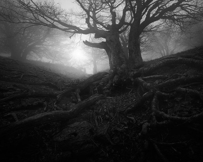 туманphoto preview