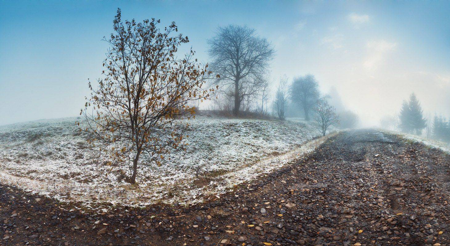 карпаты, ноябрь, осень, снег, туман, Вейзе Максим