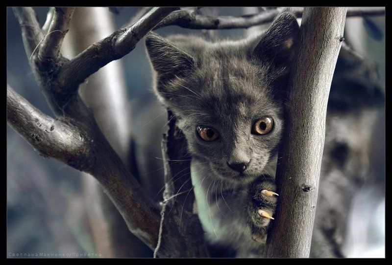 Замуровали, демоныphoto preview