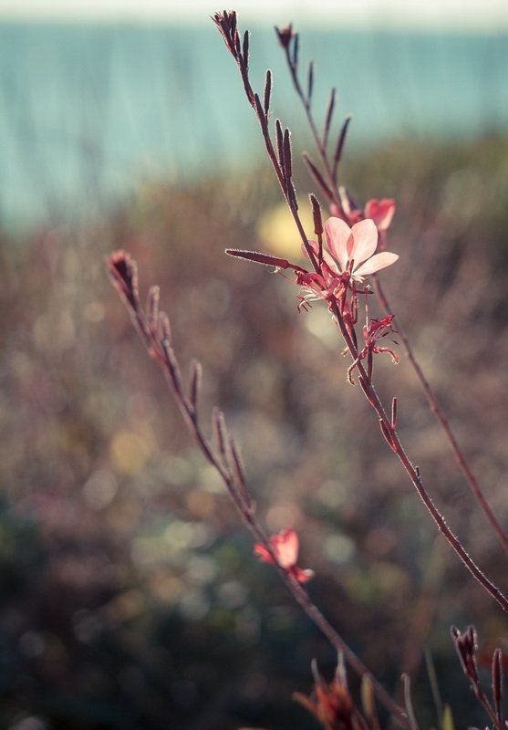 Утро.photo preview