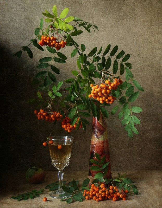 рябина, осень * * *photo preview