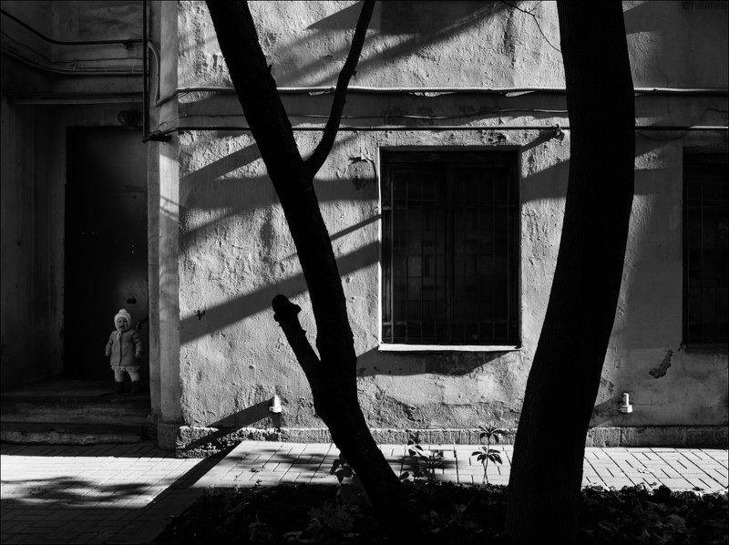 Крикphoto preview