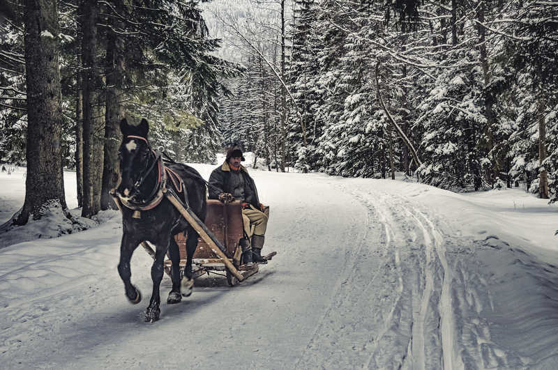 Folklor manphoto preview