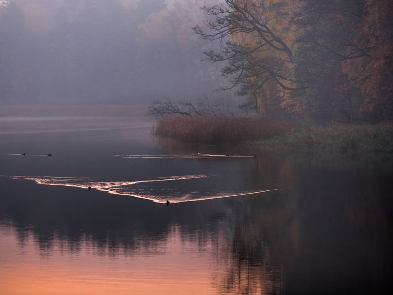 I go around Warmiaphoto preview