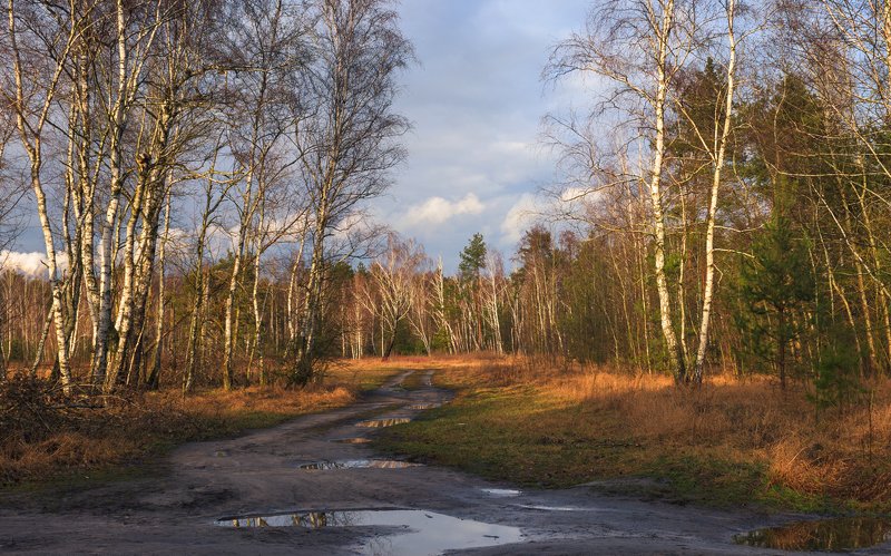 лес, зима, февраль, луг, вечер, закат Межсезонье, февральphoto preview