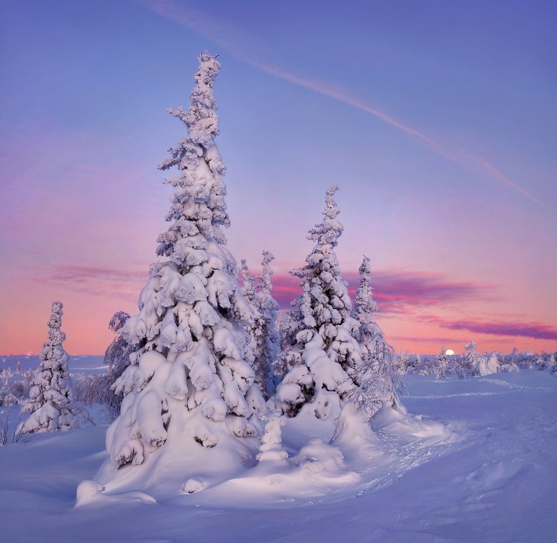 урал, зима, гух, рассвет, снег, ели, облака Когда луна и солнце пополам...photo preview