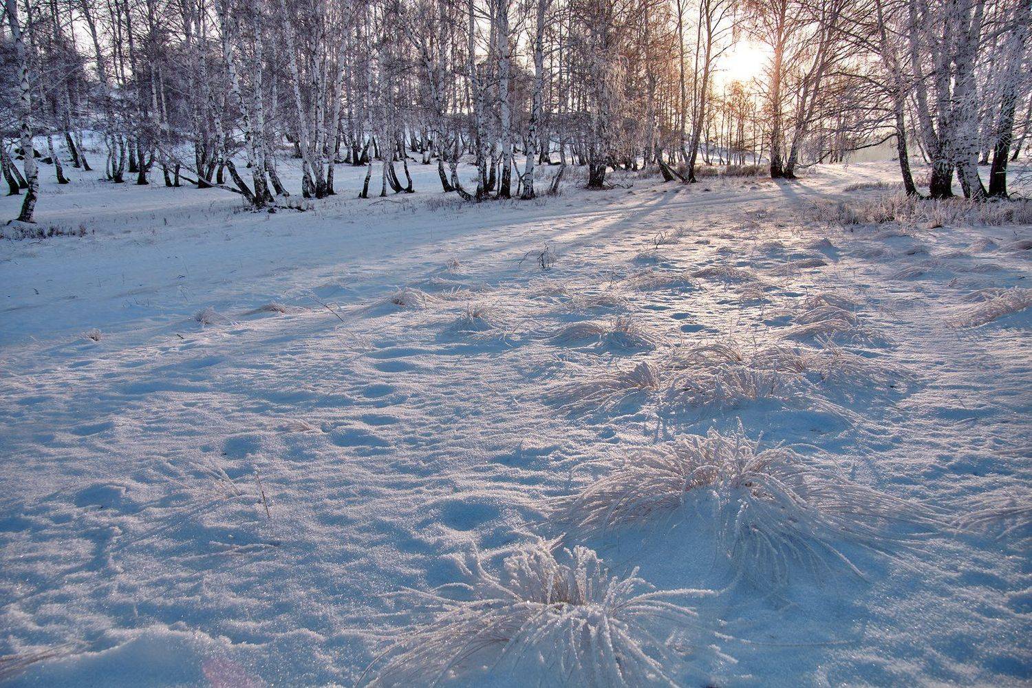 южный урал,оренбургская область, орск, новотроицк,башкирия, башкиртостан, Качурин Алексей
