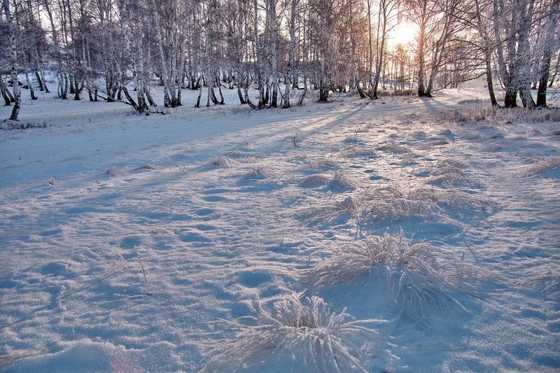 южный урал,оренбургская область, орск, новотроицк,башкирия, башкиртостан Зимние паучкиphoto preview