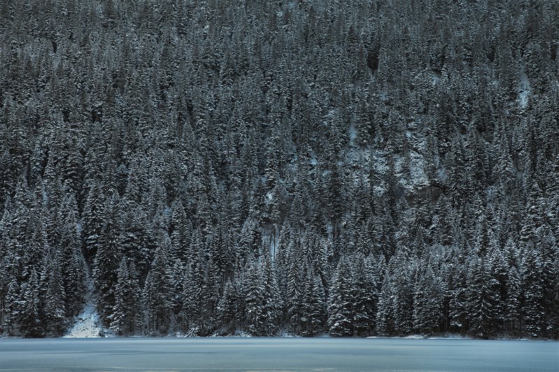 черногория, природа, путешествие, пейзаж Зима в Дурмитореphoto preview