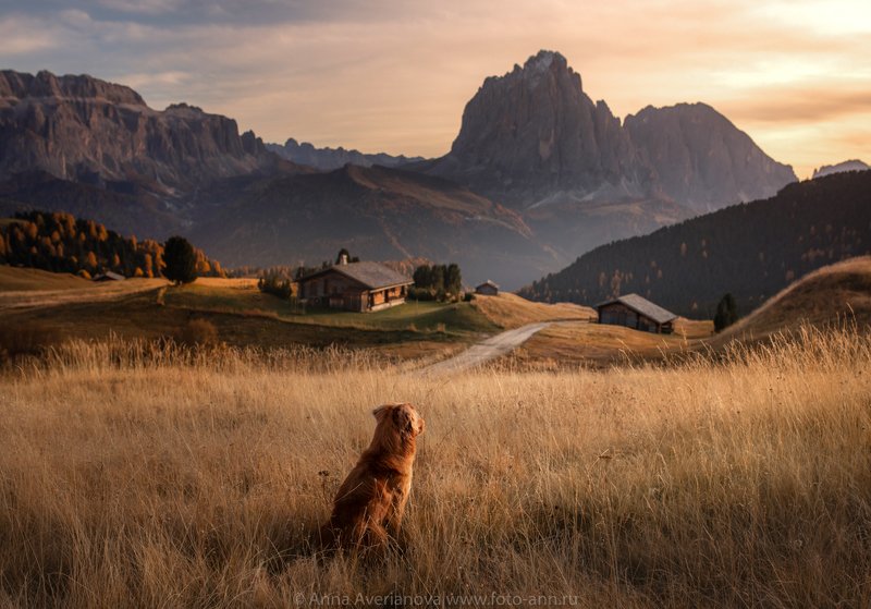 в долинеphoto preview