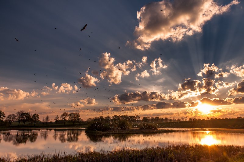 I go around Warmiaphoto preview