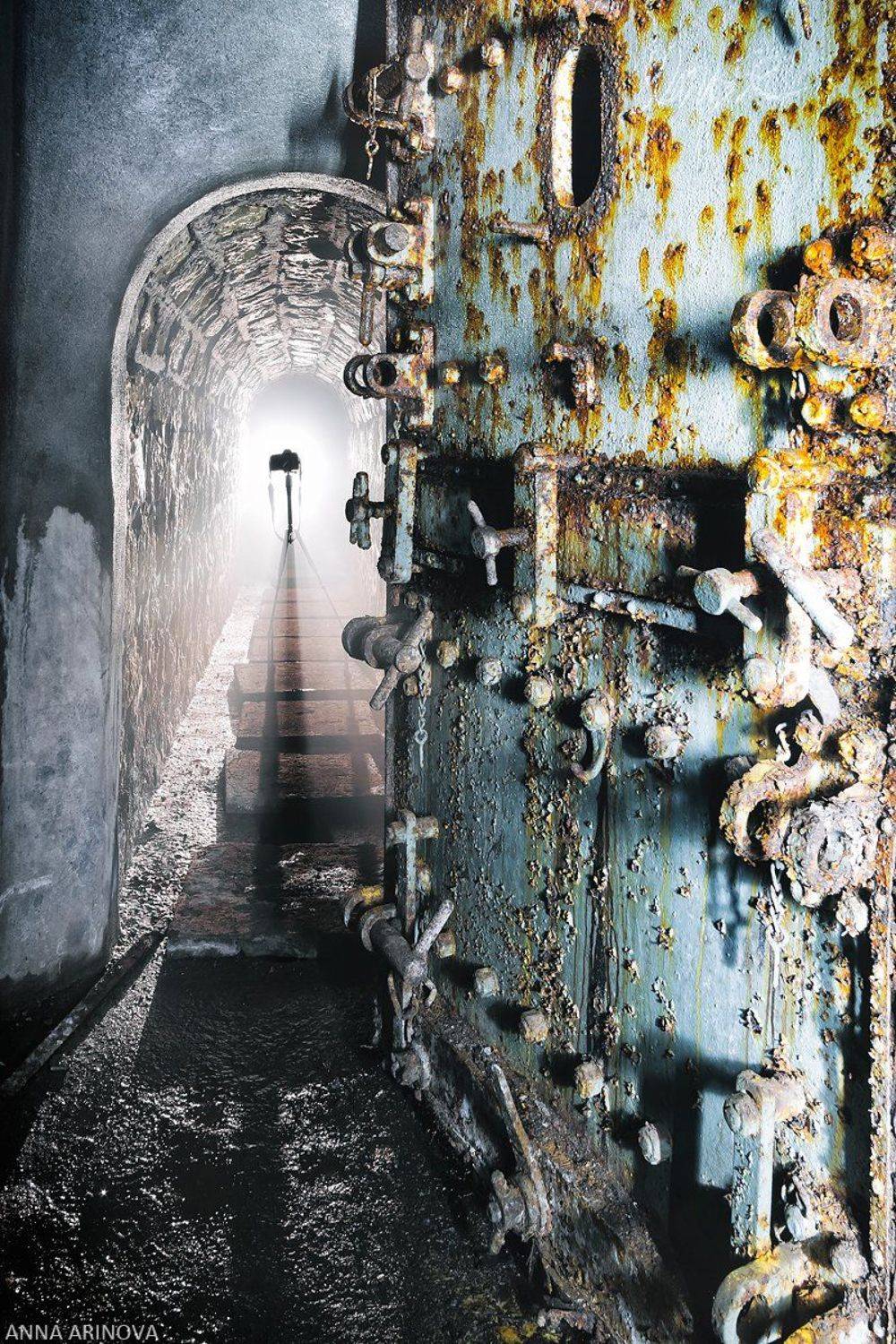 , Анна Аринова