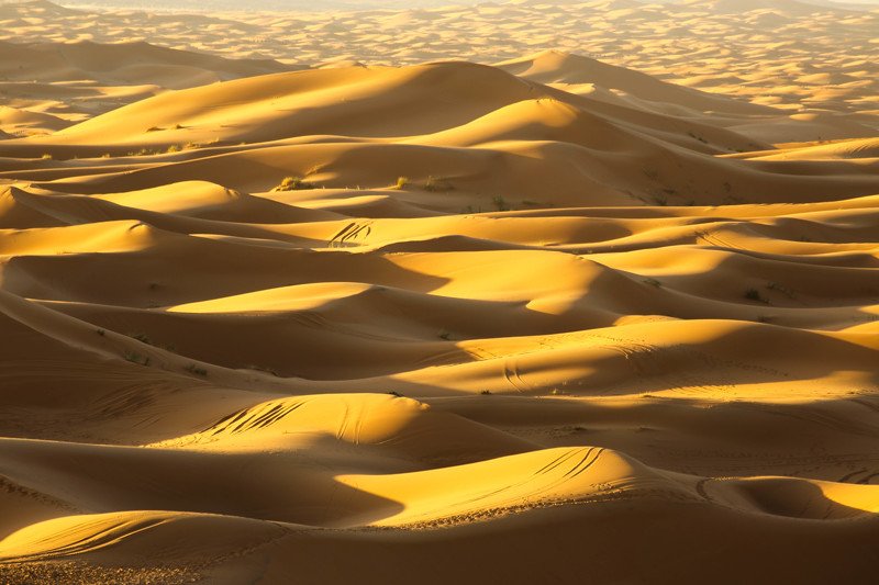 Morrocophoto preview