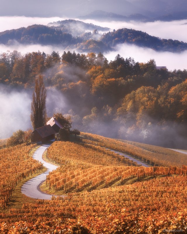 Сердце Словенииphoto preview