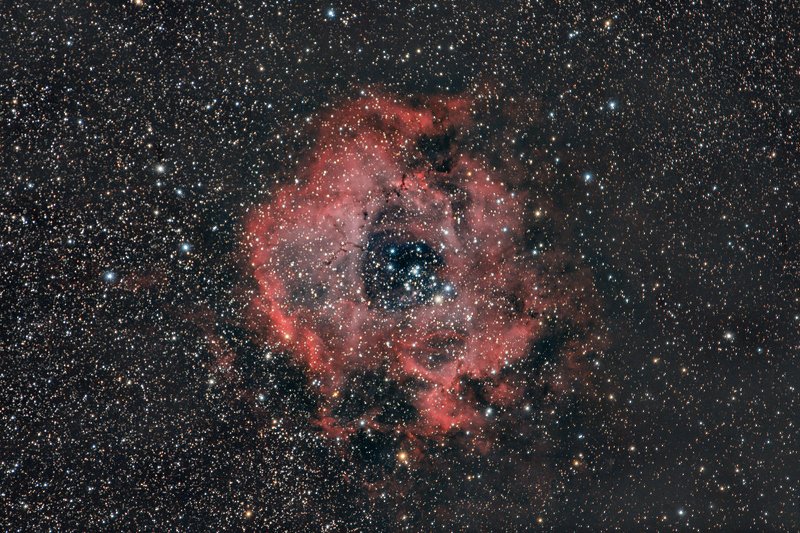 astrophotography Rosette nebula - NGC2237photo preview