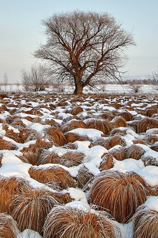 южный урал,оренбургская область, орск, новотроицк,башкирия, башкиртостан Головы Воинов, Чингиз - Ханаphoto preview