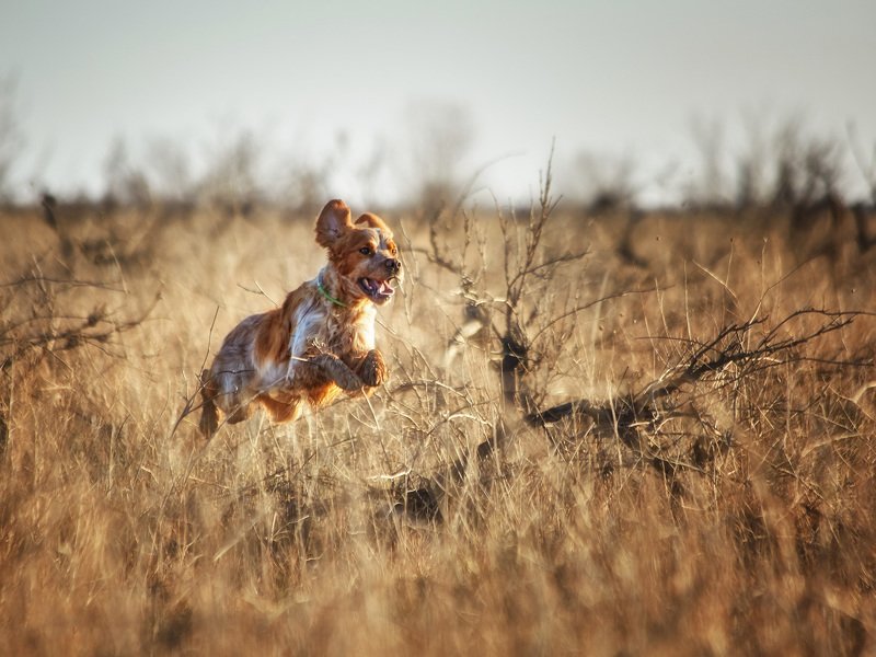 Портфолиоphoto preview