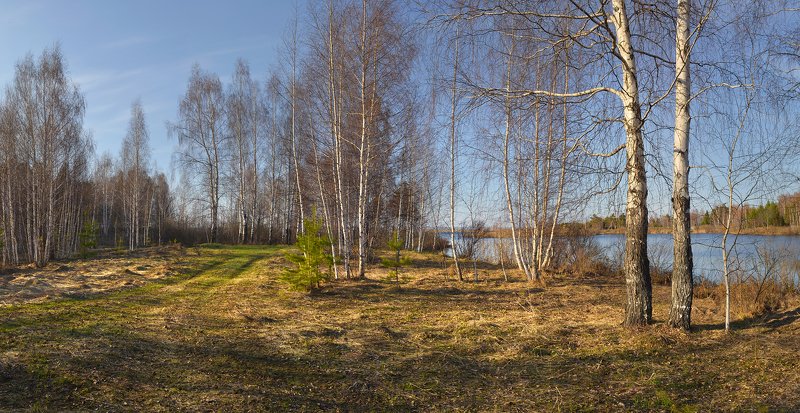 У озера. Апрель фото превью