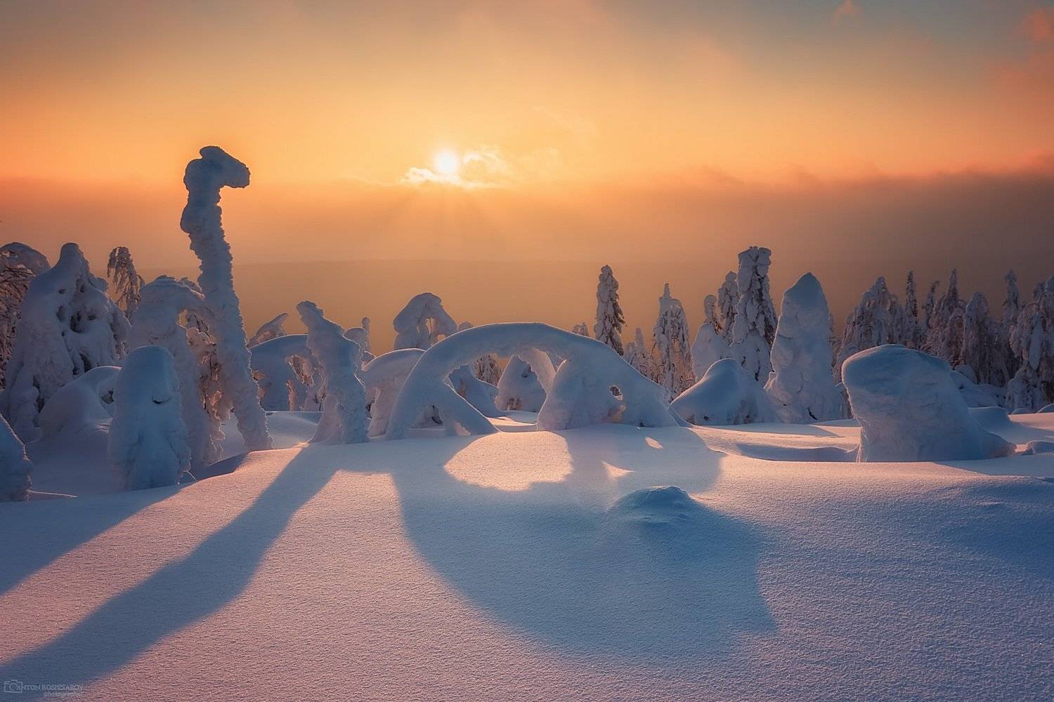 Утро в уральских джунглях. Автор: Антон Кошетаров , Антон Кошетаров