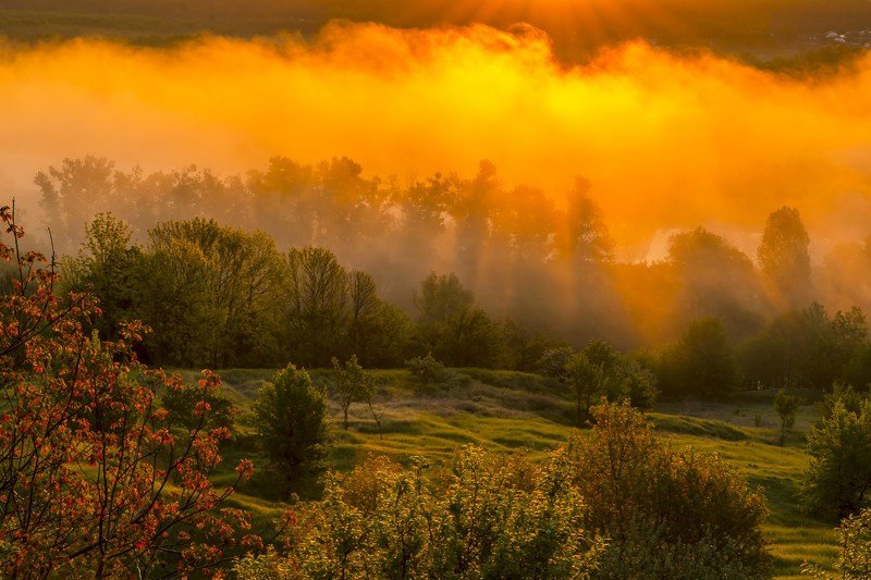 туман,рассвет,утро,свет,цвет,колорит,композиция,искусство,фотография,фотограф,сергей корнев,красота,природа Колоритный туманphoto preview
