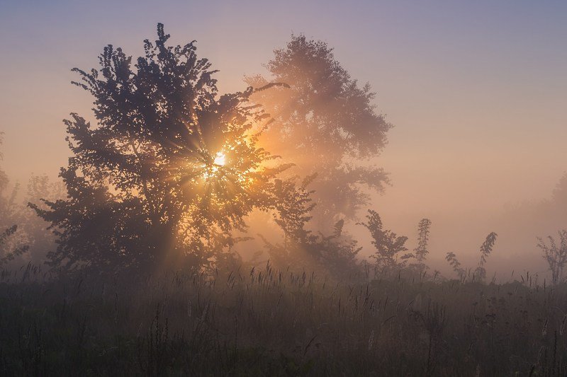 пейзаж,туман,утро,рассвет,солнце,украина,гадяч,сергей корнев,природа,свет,цвет,композиция,искусство,фотография Утренняя звездаphoto preview