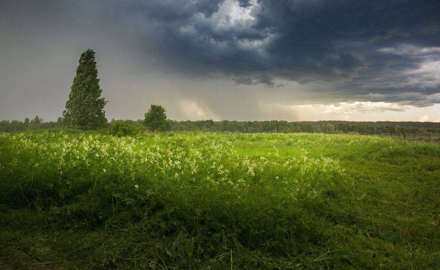 , Михаил Карпов