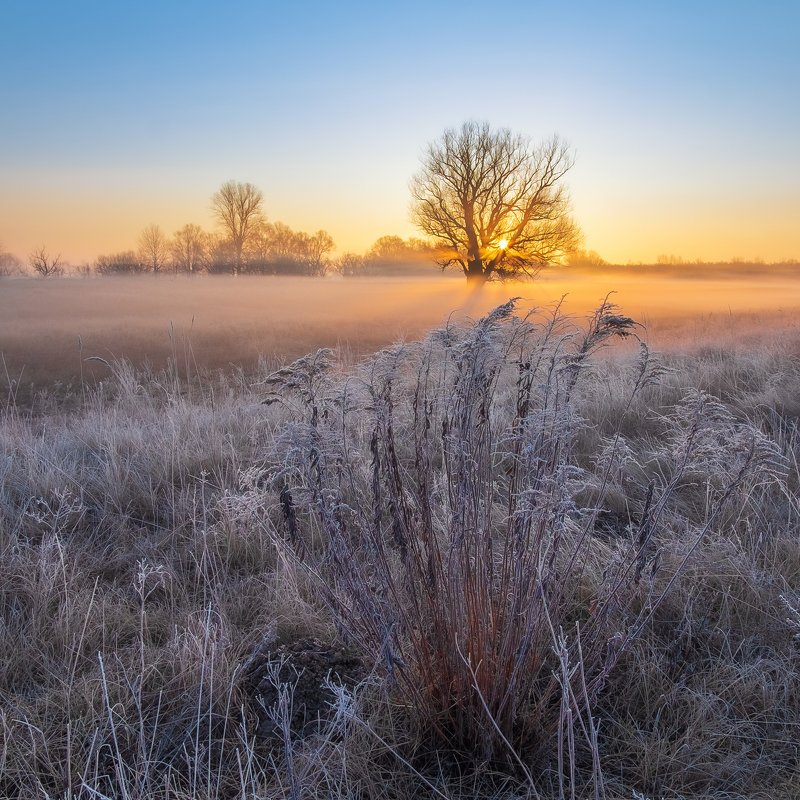 Морозный рассветphoto preview