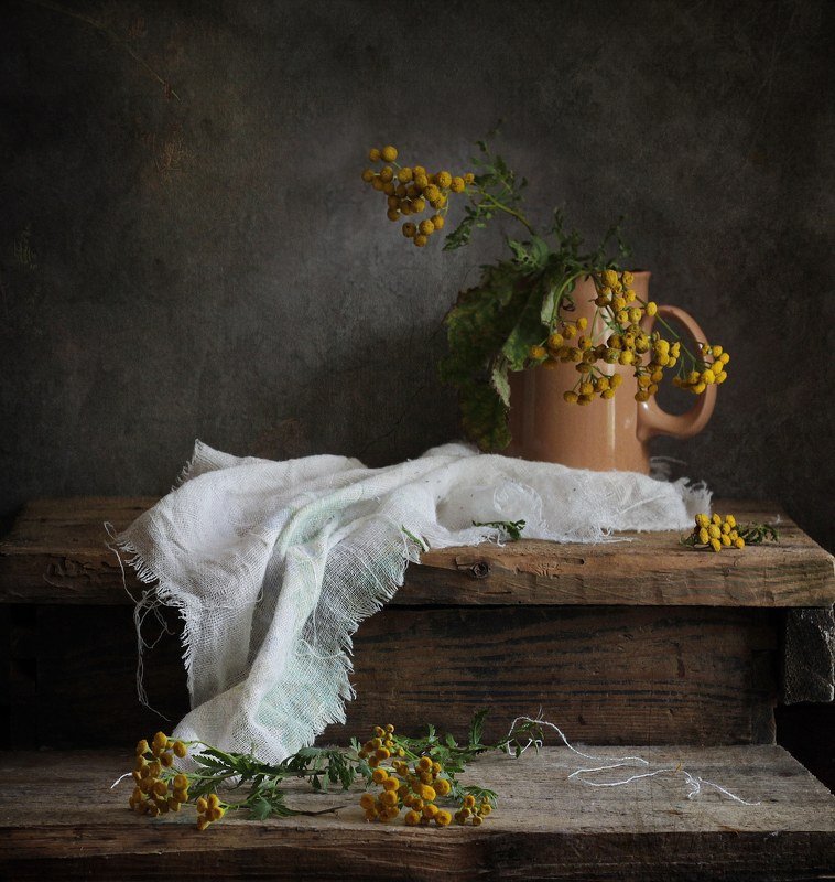 пижма, натюрморт, полевые цветы. Пижмаphoto preview