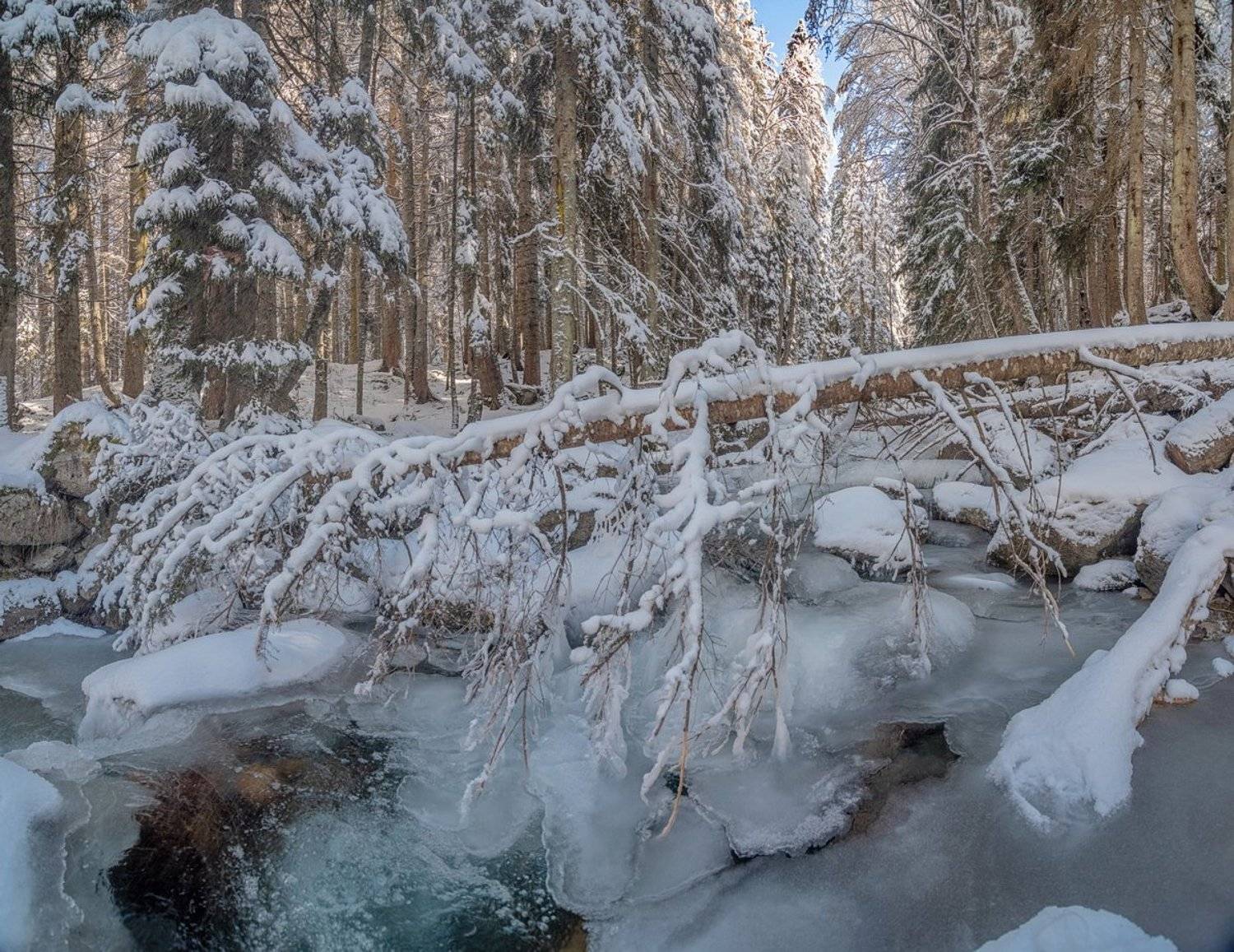 водопад, скала, лед, пороги, обрыв, горы, река, поток, горная река, муруджу, теберда, снег, лес, зима, домбай, карачаево-черкесия, Арсен Алабердов