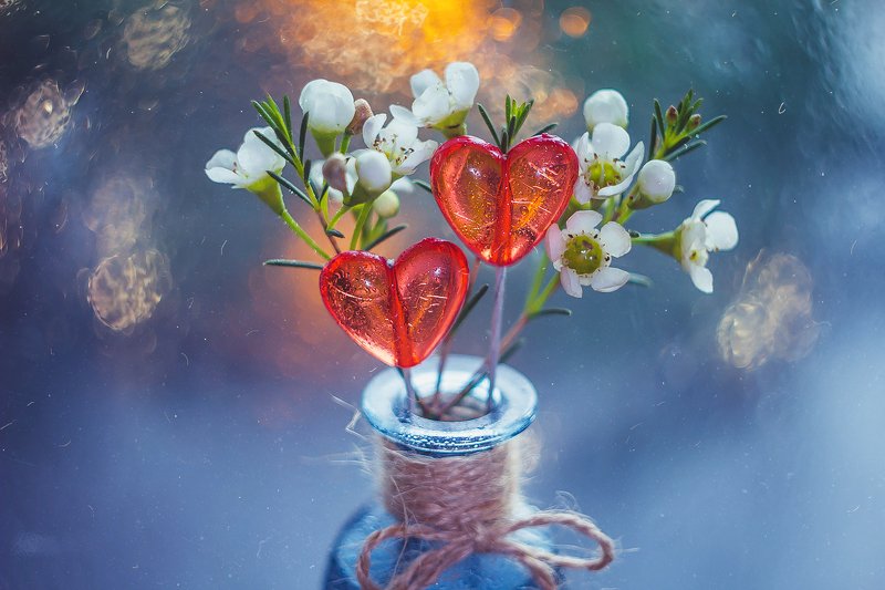 цветы, сердце, натюрморт, боке, прозрачный, брызги, вода, закат, солнце, бутылки, банки, стекло, красивый, зима Леденцыphoto preview