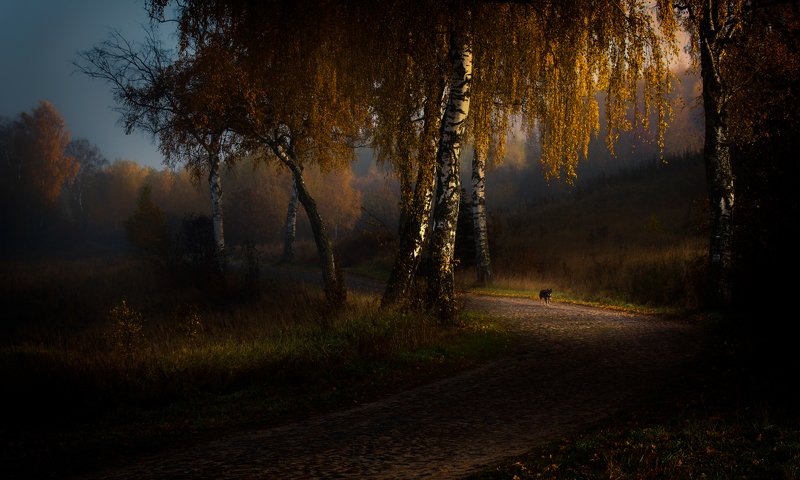 I go around Warmiaphoto preview