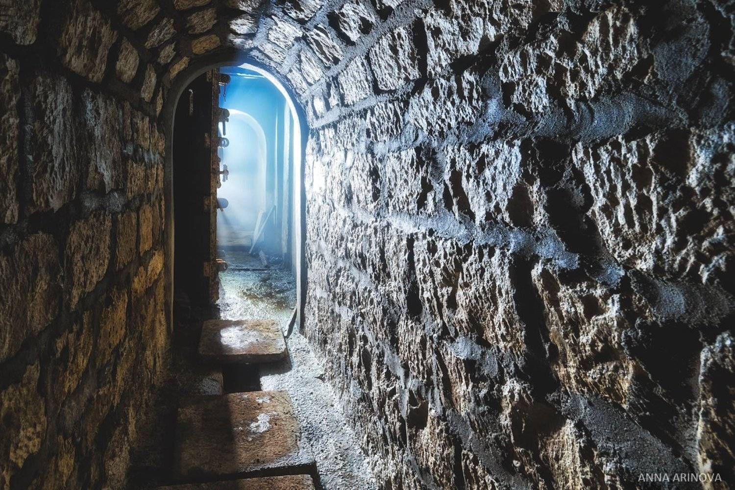 , Анна Аринова