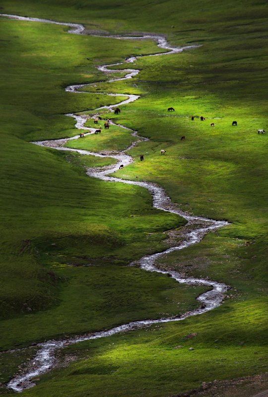 Sary - Jaz Valleyphoto preview