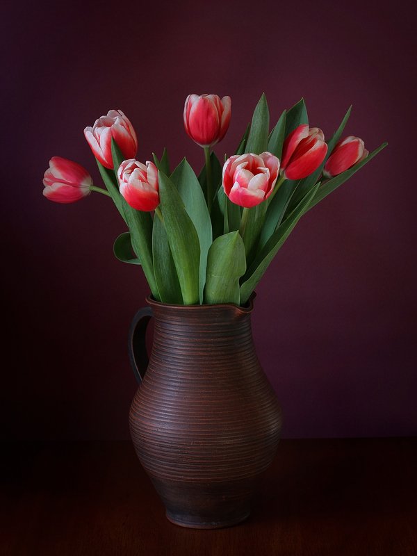 Тюльпаныphoto preview