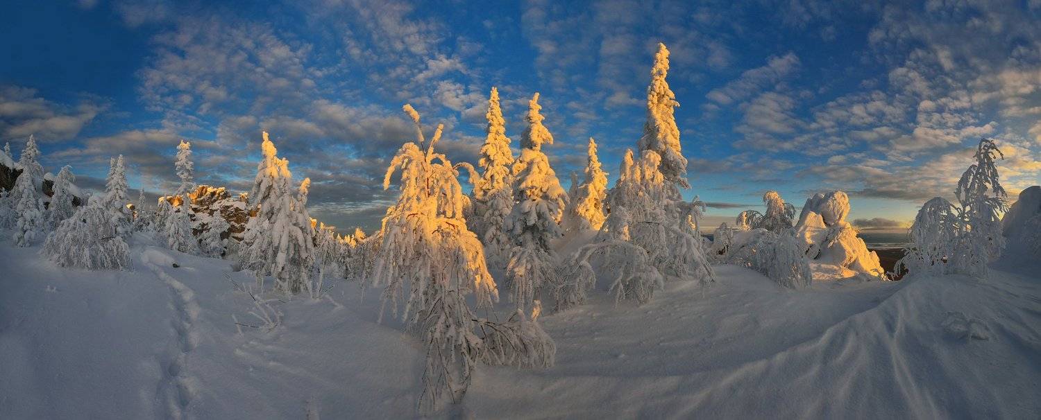 , Клековкин Алексей