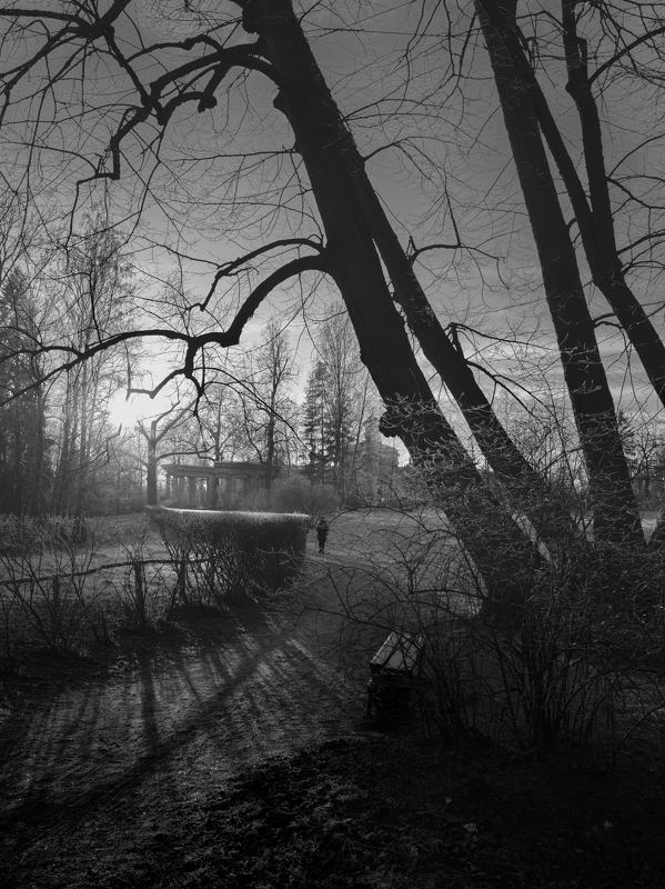 павловск, солнце, мороз 8.photo preview