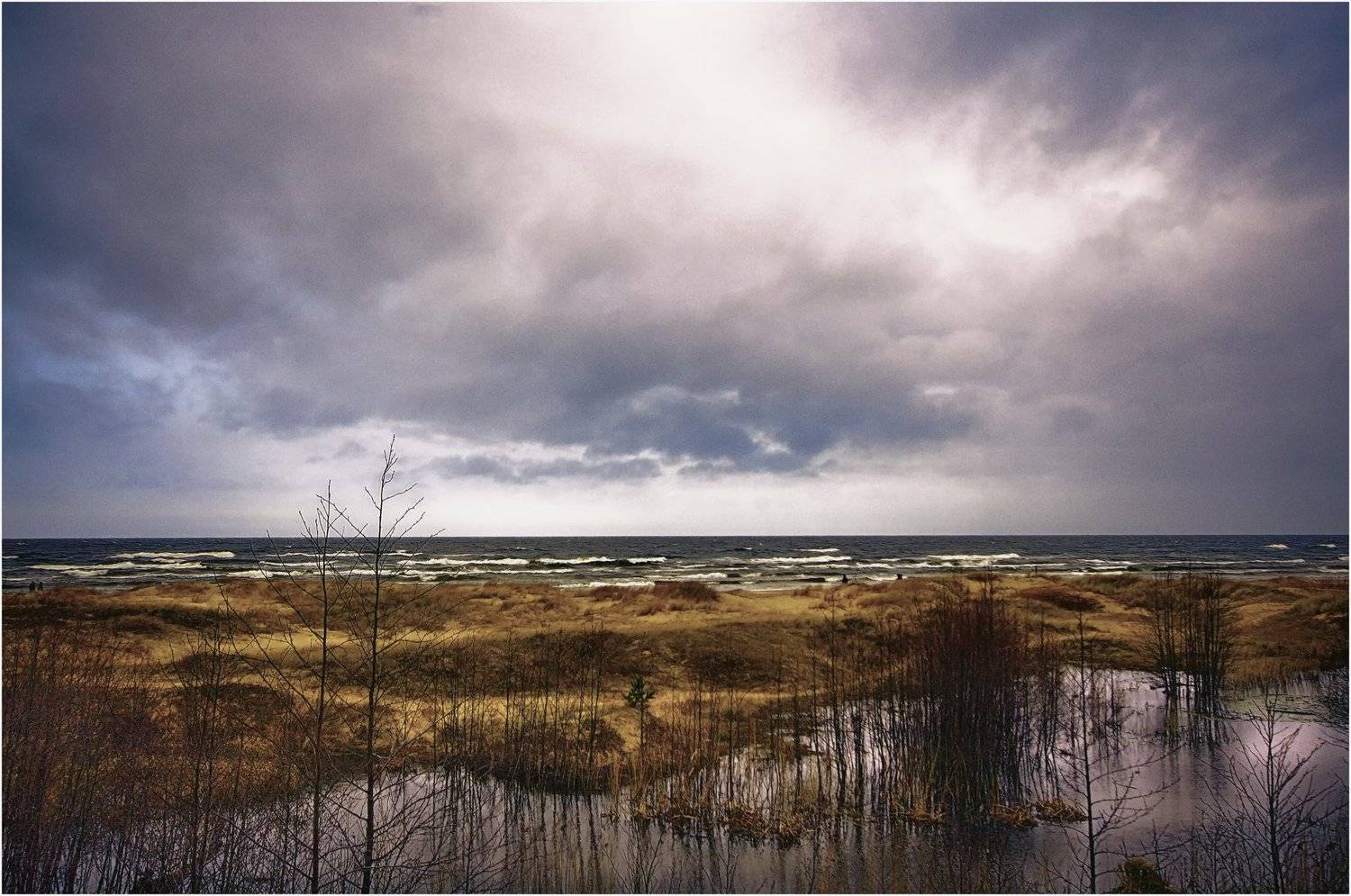 В дюнах.. Автор: Viktor , Viktor