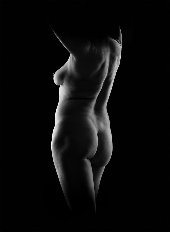 Силуэт - IVphoto preview