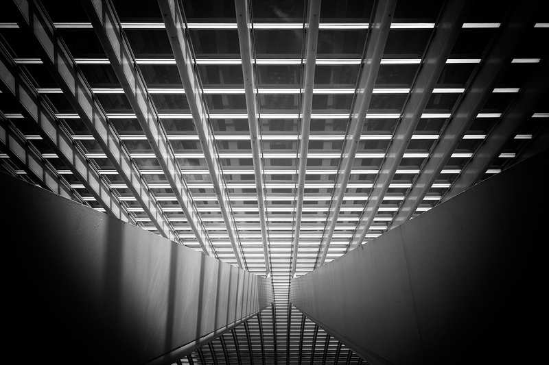 La-gare-des-Guillemins-3photo preview