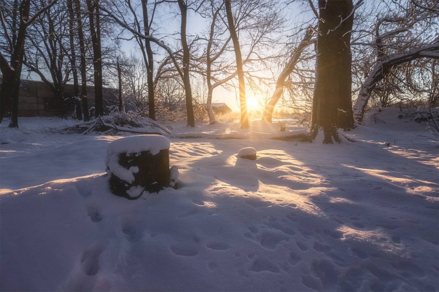 псков, россия, утро, рассвет, солнце, снег, мороз, Майя Афзаал